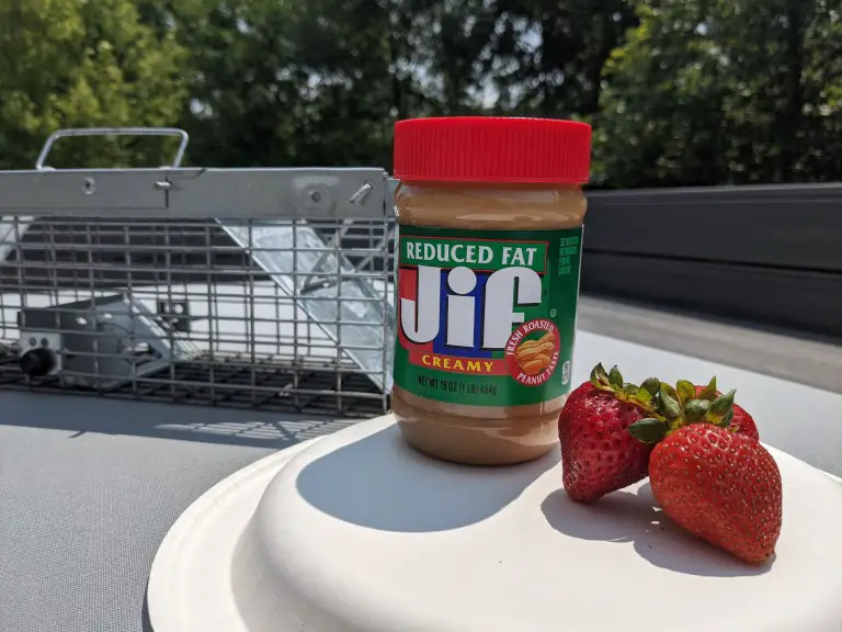 peanut butter strawberry chipmunk bait